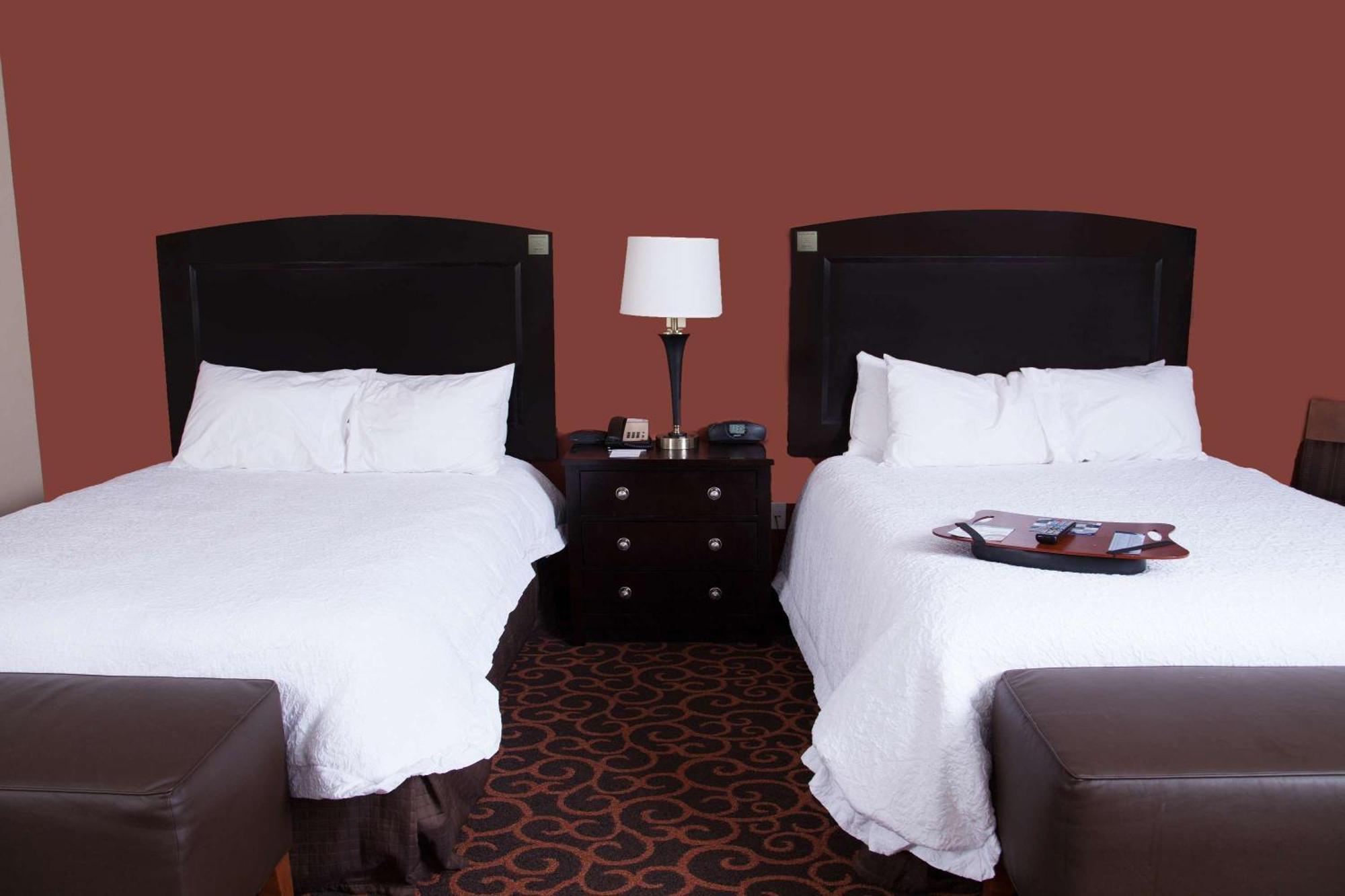 Hampton Inn & Suites Dickinson Nd Екстер'єр фото