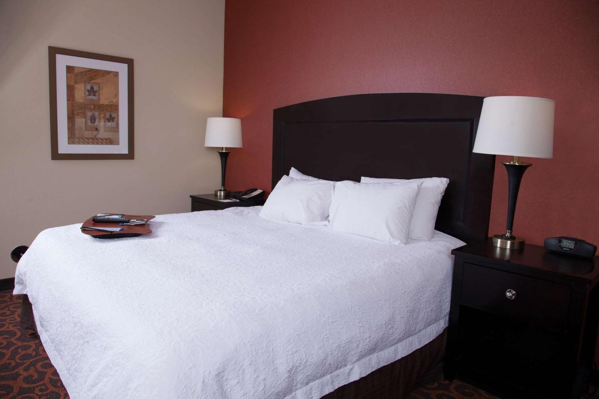 Hampton Inn & Suites Dickinson Nd Екстер'єр фото