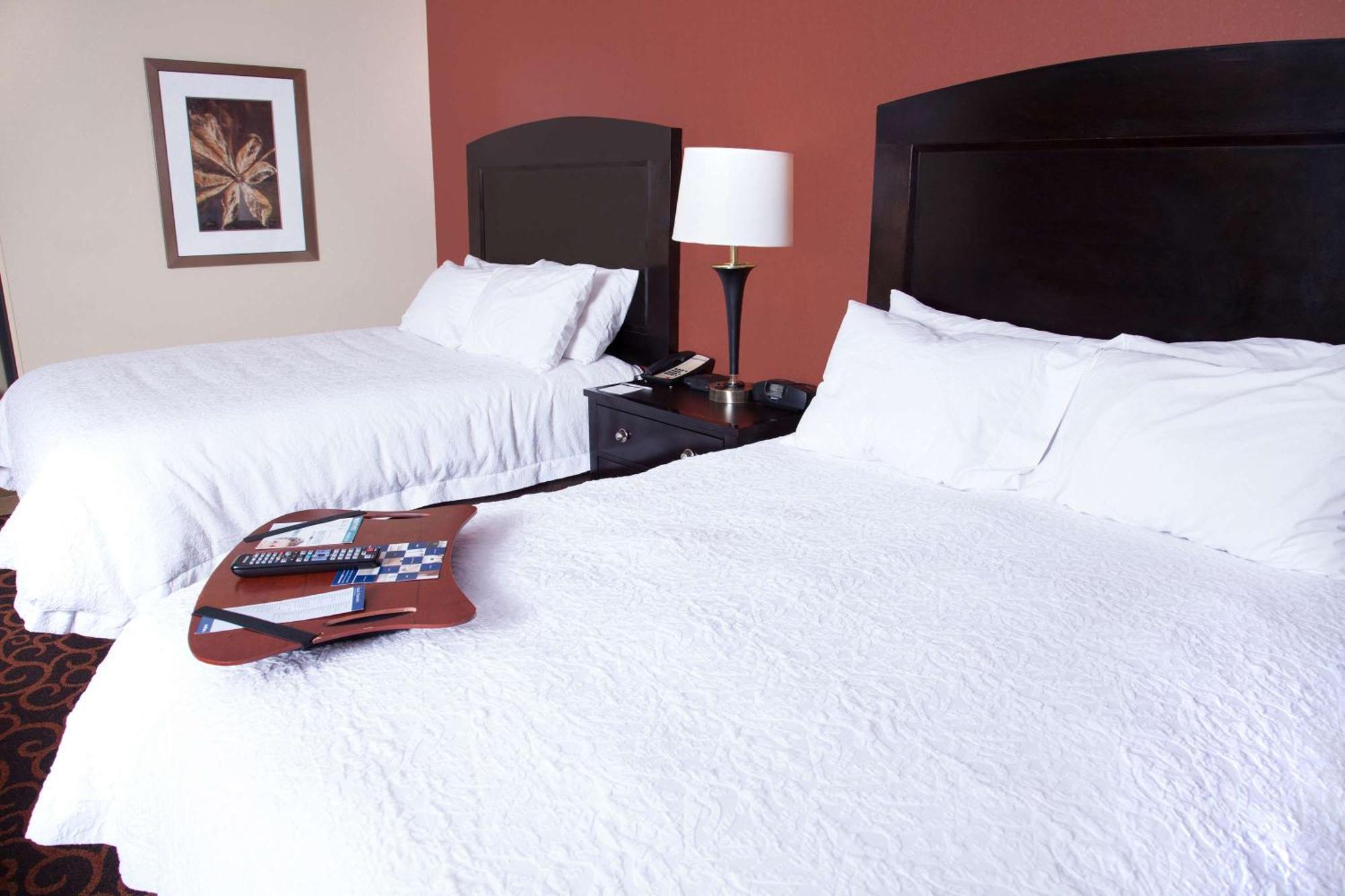 Hampton Inn & Suites Dickinson Nd Екстер'єр фото