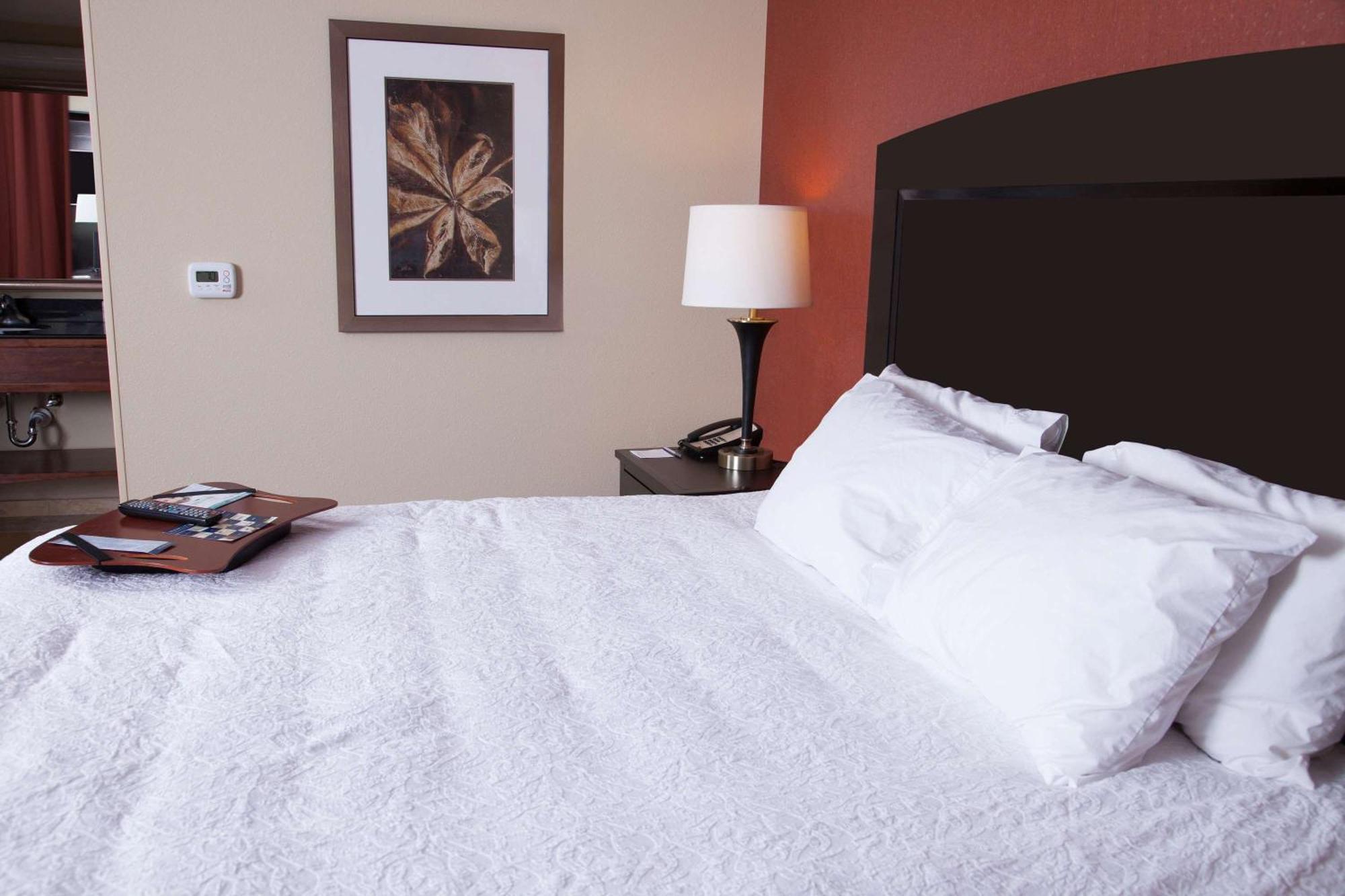Hampton Inn & Suites Dickinson Nd Екстер'єр фото