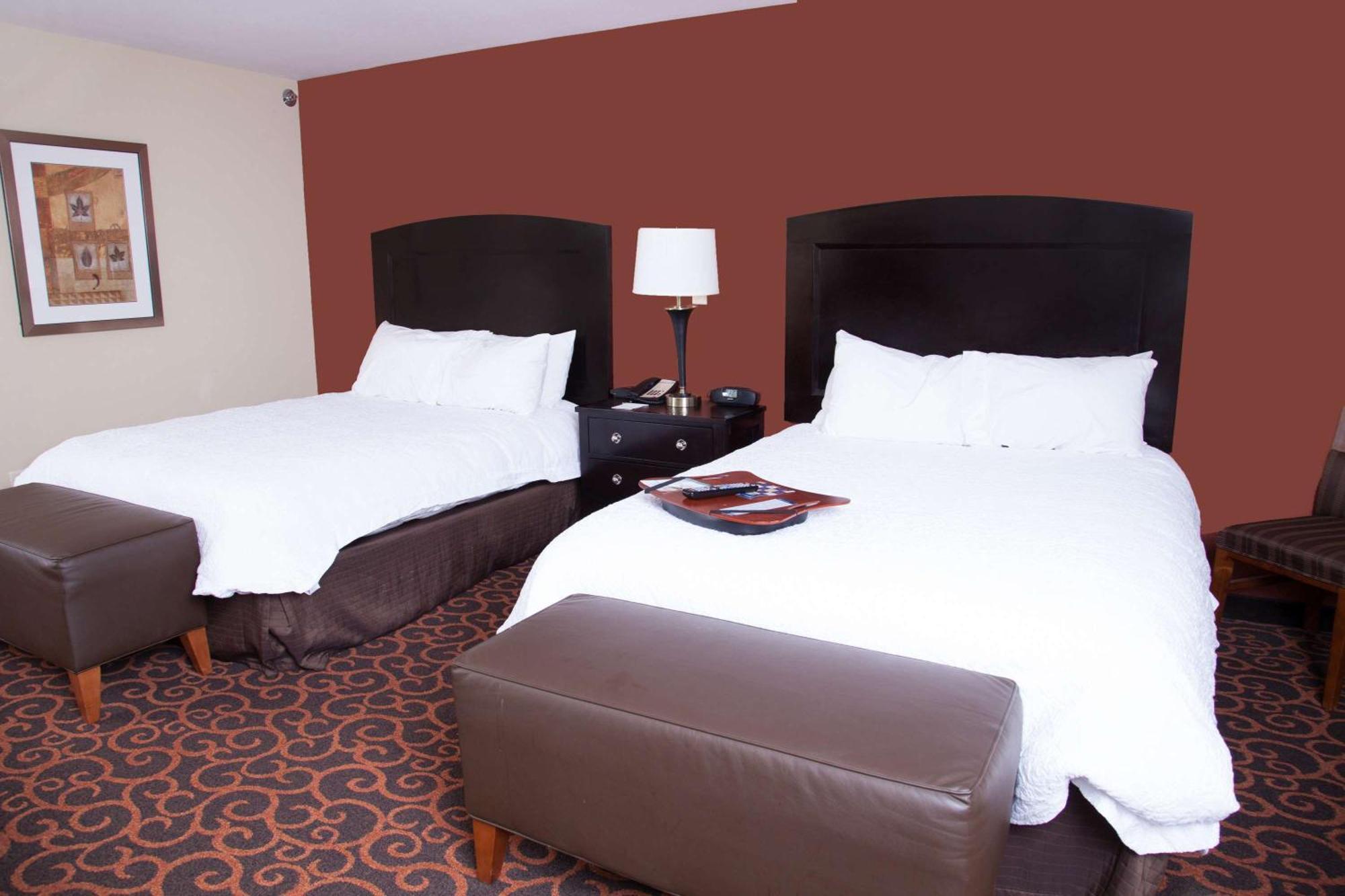 Hampton Inn & Suites Dickinson Nd Екстер'єр фото